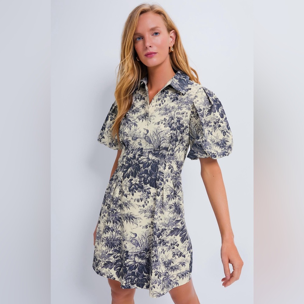 Tuckernuck navy Toile dress